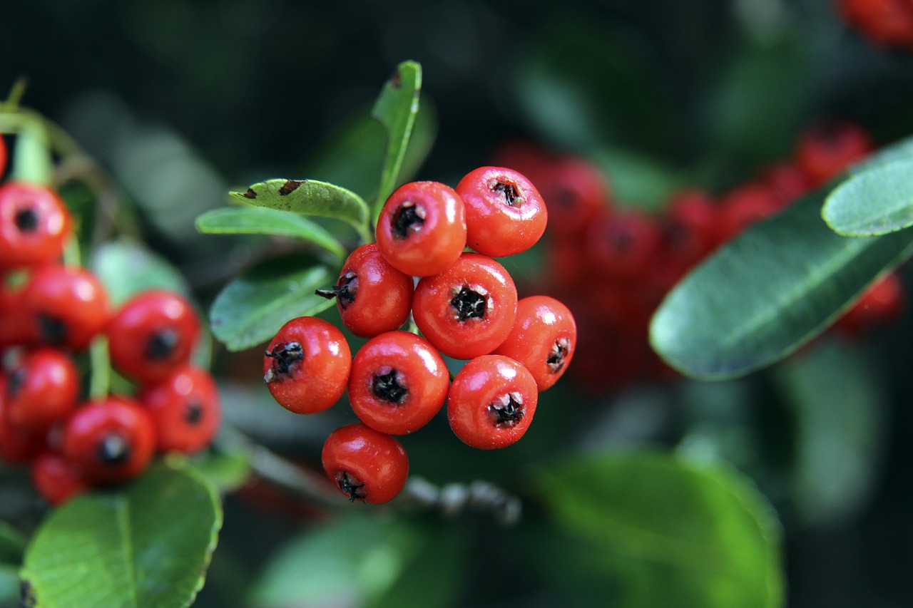 吃饭睡觉打巴萨，瑟洛特连续六场对阵巴萨进球.